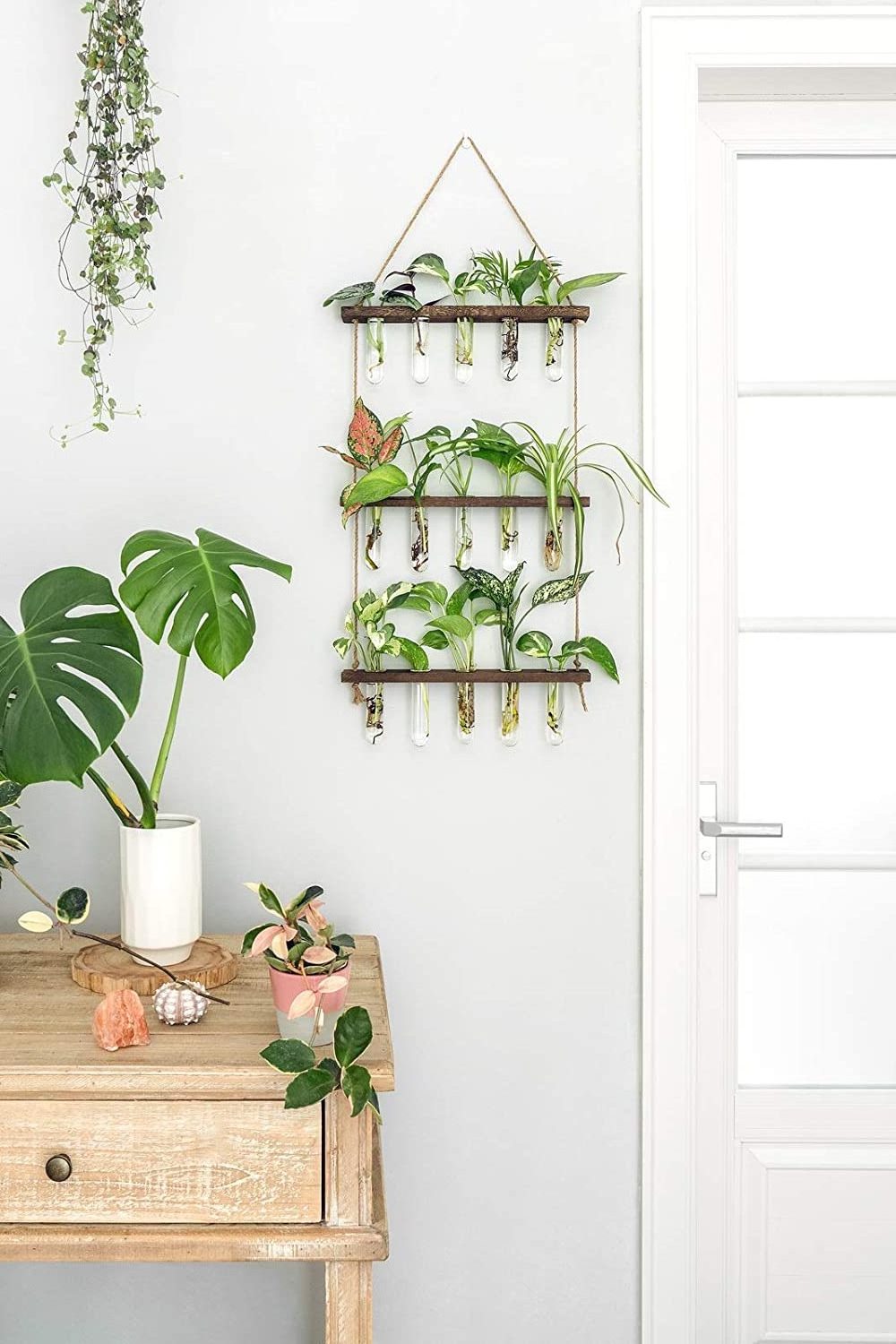 Hot sale decor plant holder hanging plants rack wall mounted plant stand with propagation tubes