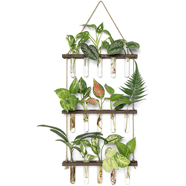 Hot sale decor plant holder hanging plants rack wall mounted plant stand with propagation tubes