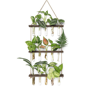 Hot sale decor plant holder hanging plants rack wall mounted plant stand with propagation tubes