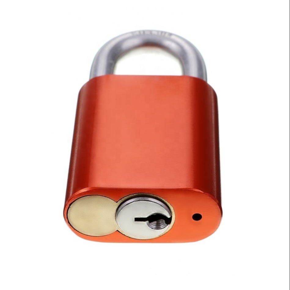 570 Padlock 233A Padlock Replaceable Cylinder Padlock Figure 8 Cylinder Aluminium Padlcok 19mm Stainless Steel Shackle