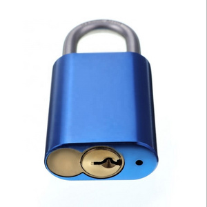 570 Padlock 233A Padlock Replaceable Cylinder Padlock Figure 8 Cylinder Aluminium Padlcok 19mm Stainless Steel Shackle