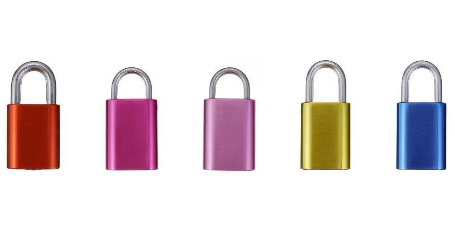 570 Padlock 233A Padlock Replaceable Cylinder Padlock Figure 8 Cylinder Aluminium Padlcok 19mm Stainless Steel Shackle