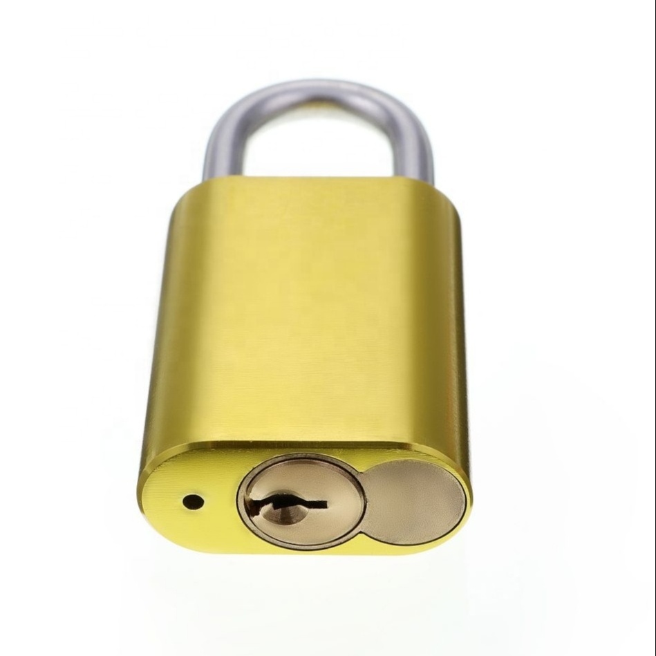 570 Padlock 233A Padlock Replaceable Cylinder Padlock Figure 8 Cylinder Aluminium Padlcok 19mm Stainless Steel Shackle