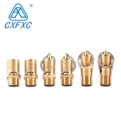 Brass 1/4" Air compressor ce safety relief valve