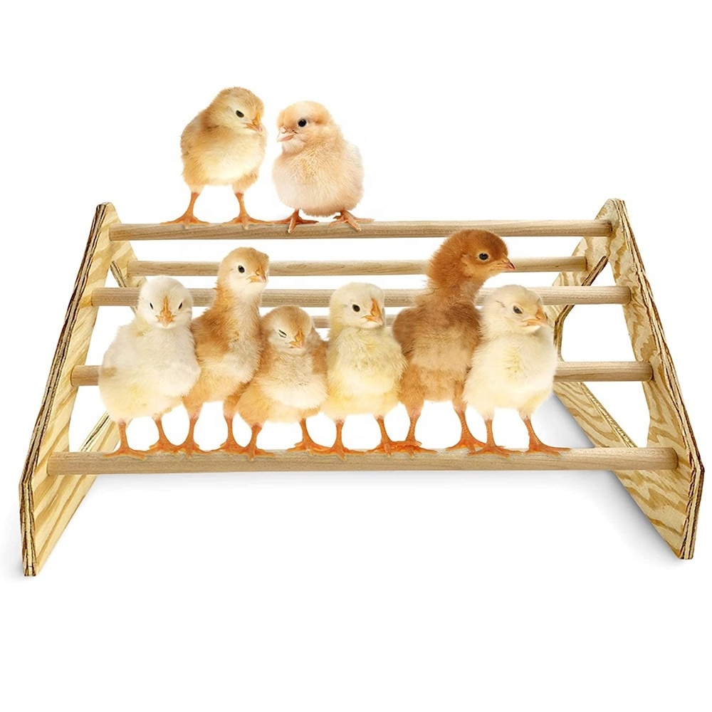 Durable Strong Wooden Jungle Gym Roosting Bar Toys Coop Brooder Baby Chicks Chick Perch