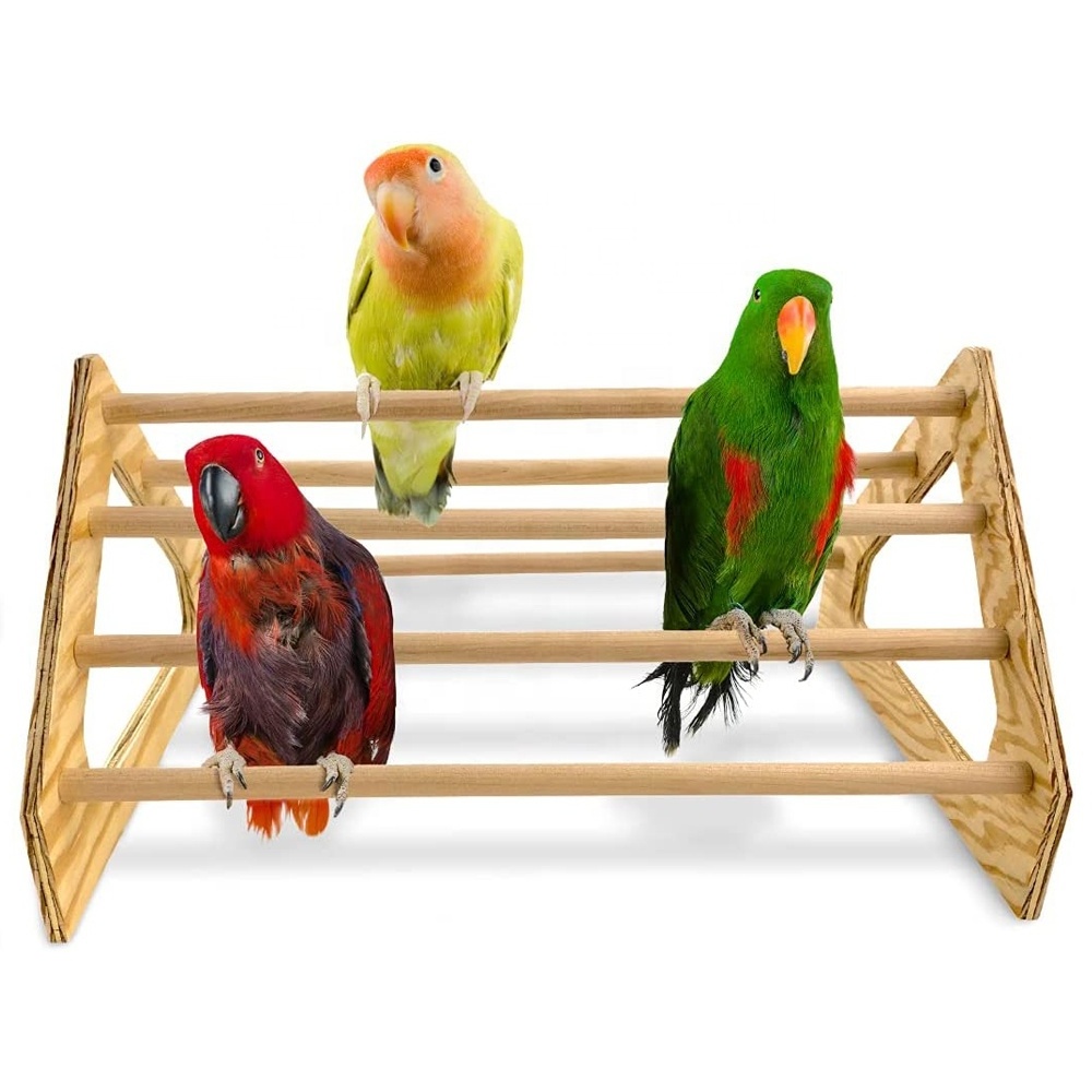 Durable Strong Wooden Jungle Gym Roosting Bar Toys Coop Brooder Baby Chicks Chick Perch