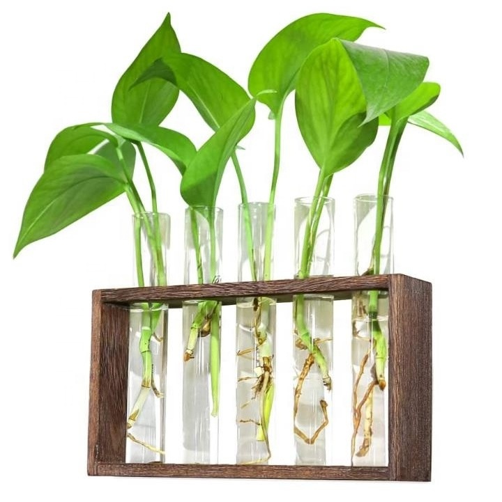 Caoxian Huashen Wooden Stand Wall-Mounted Hanging Plants Shelf with Test Tube for Home Office Decoration Vase Type