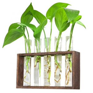 Caoxian Huashen Wooden Stand Wall-Mounted Hanging Plants Shelf with Test Tube for Home Office Decoration Vase Type