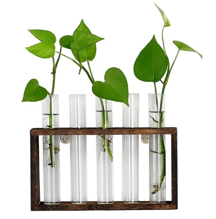 Caoxian Huashen Wooden Stand Wall-Mounted Hanging Plants Shelf with Test Tube for Home Office Decoration Vase Type