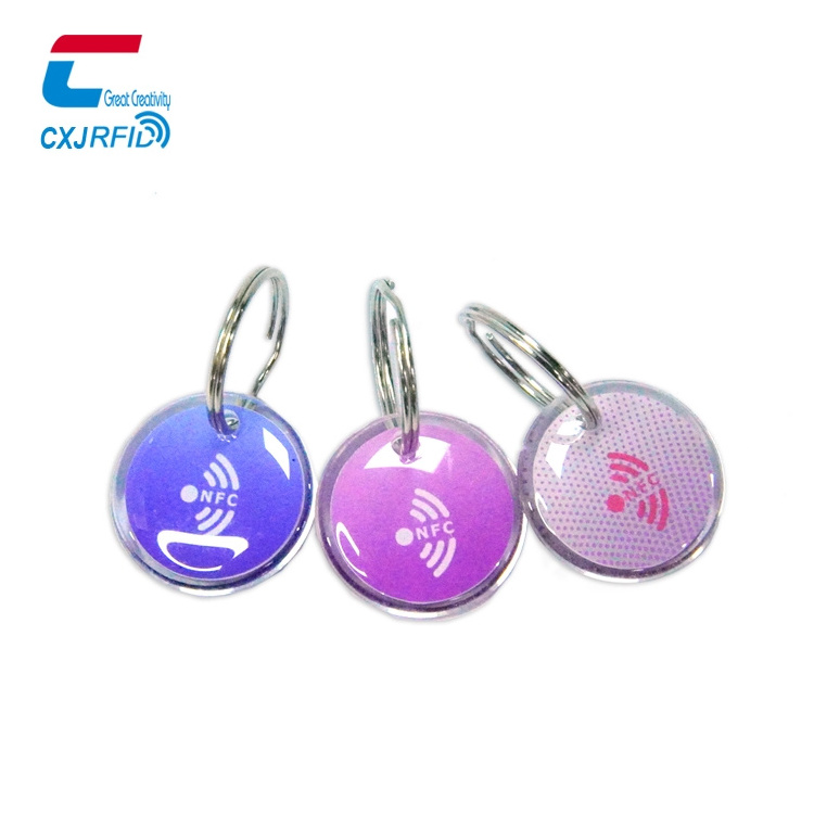 Custom Epoxy Pvc/Metal Nfc Dog Keychain Ntag213 Single/Bilateral/Full Edging Epoxy Tag Qr Code Key Chain