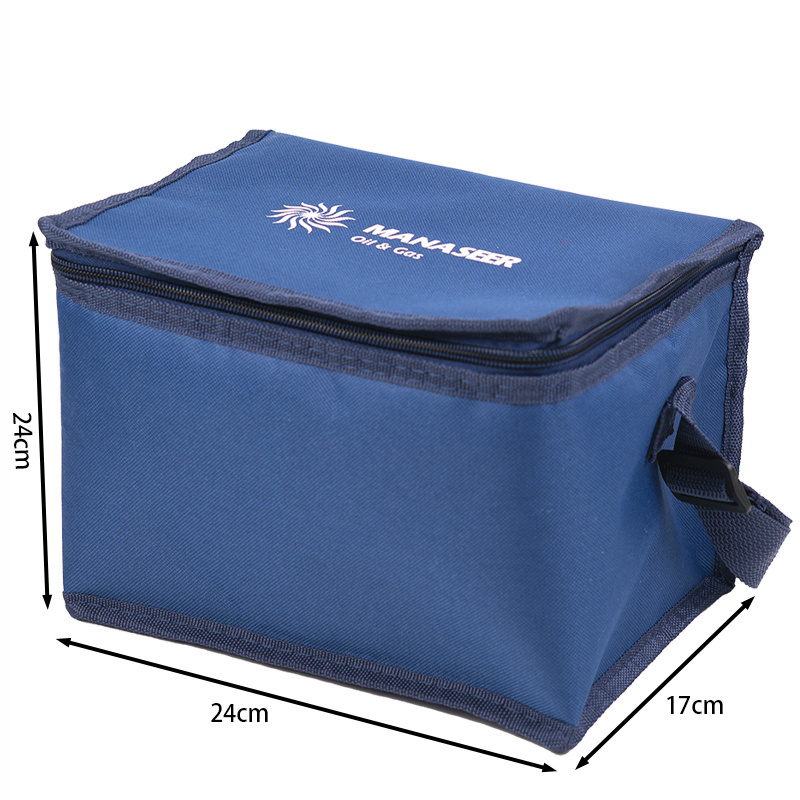 Manufacturer hot sales custom printing portable large capacity waterproof PEVA blue insulated cooler lunch bag