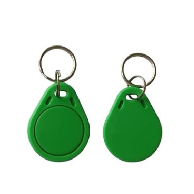 TK4100 EM4100 Customized 125Khz RFID Security T5577 Keychain/ em4305 Key Tag RFID Key Fob