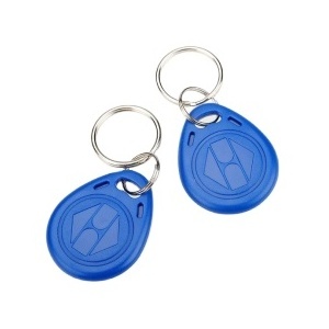 TK4100 EM4100 Customized 125Khz RFID Security T5577 Keychain/ em4305 Key Tag RFID Key Fob