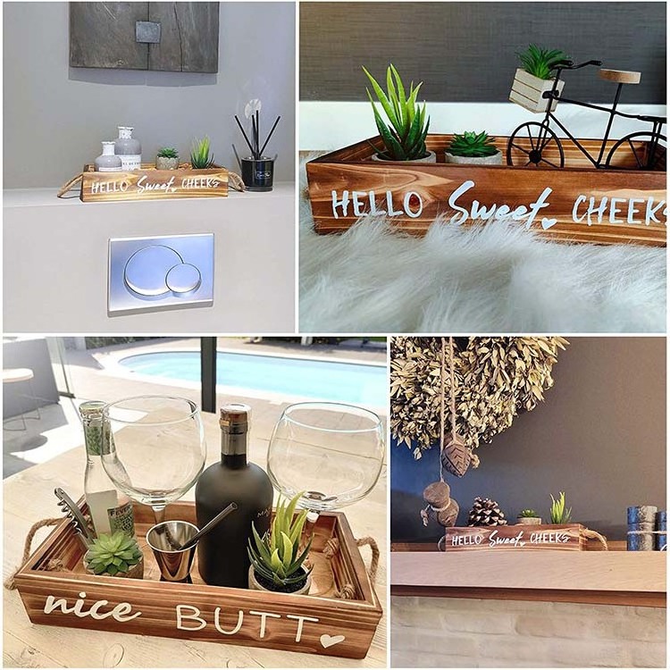 Nice Butt Bathroom Decor Box & Artificial Plants Bundle: 2 Funny Sayings, Hello Sweet Cheeks