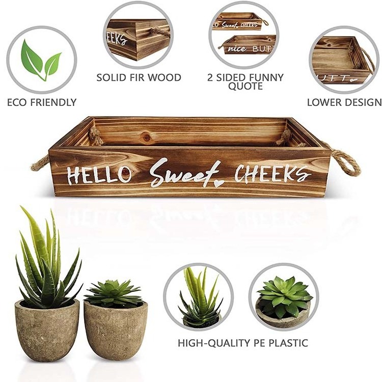 Nice Butt Bathroom Decor Box & Artificial Plants Bundle: 2 Funny Sayings, Hello Sweet Cheeks