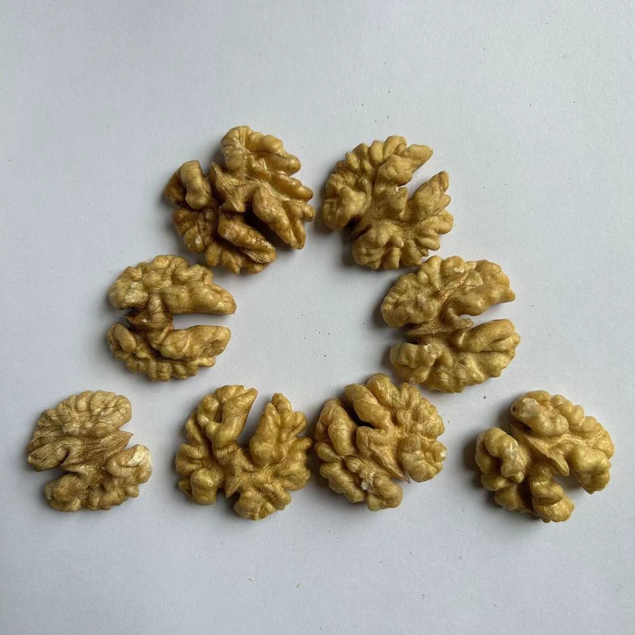 Wholesale of organic bulk nuts with raw wallnut kernels. High quality dried fruits inside walnut shells sold by Chinese