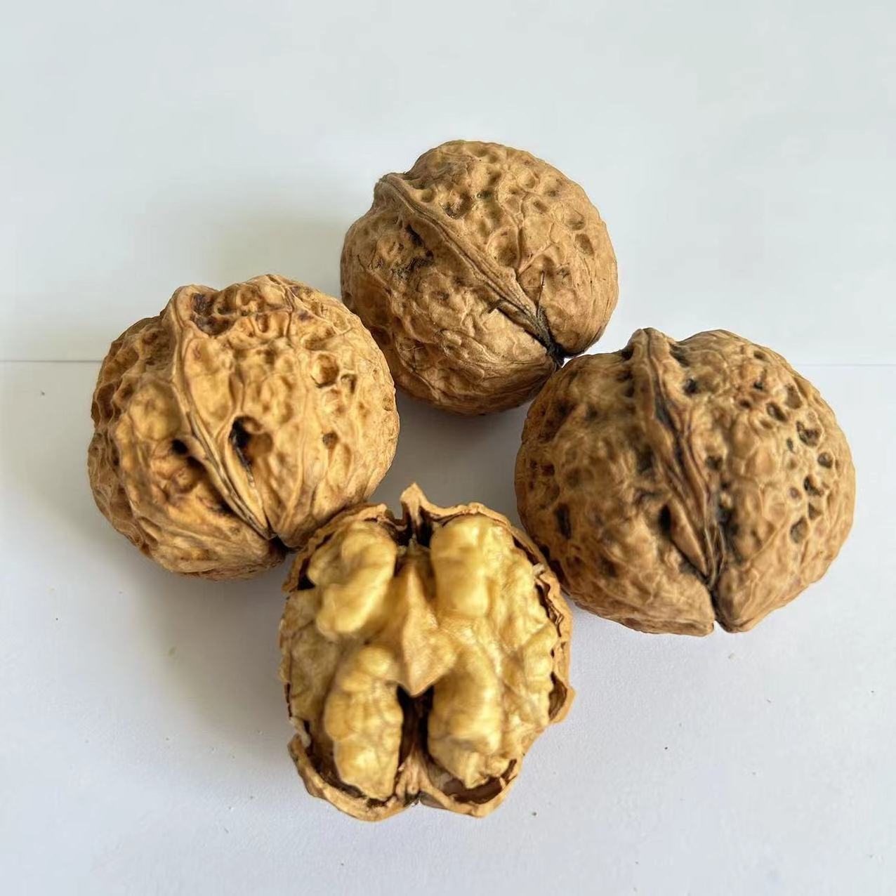 High quality nutritious and fresh green walnuts for sale walnut kernel price in china