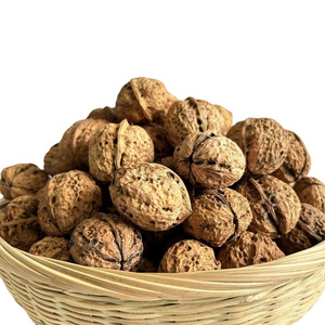 High quality nutritious and fresh green walnuts for sale walnut kernel price in china