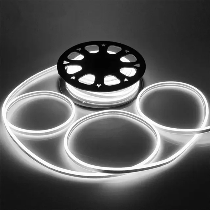 DC12V LED Strip Light 50M 100m Flexible Neon Light Waterproof IP65 Led Ribbon Rope Flex Tube Tape Room DIY