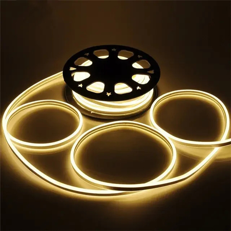 DC12V LED Strip Light 50M 100m Flexible Neon Light Waterproof IP65 Led Ribbon Rope Flex Tube Tape Room DIY