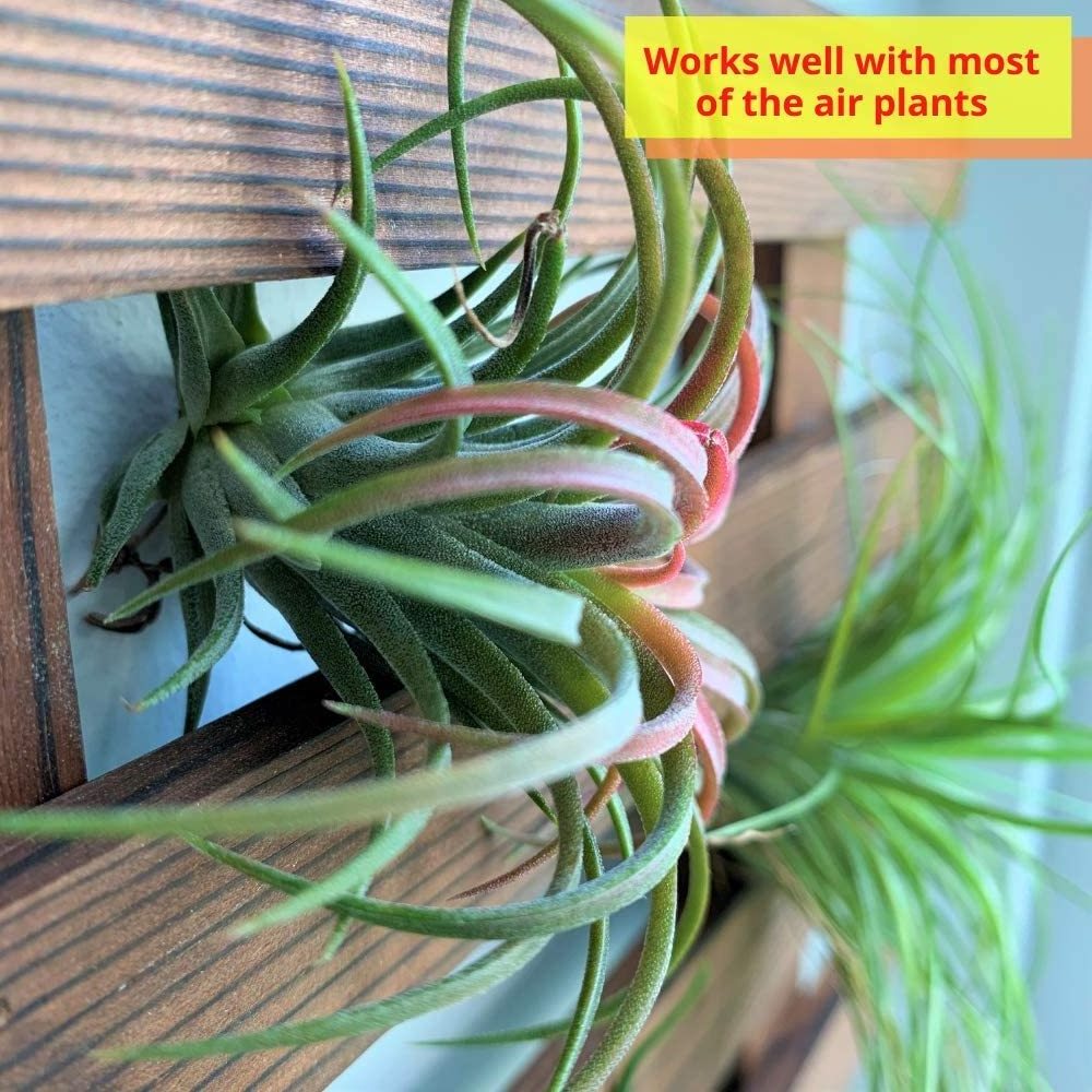 Wall Planter  Wooden Hanging Planter for Indoor Plants, Air Plant Succulent Holder Hanger, Vertical Garden