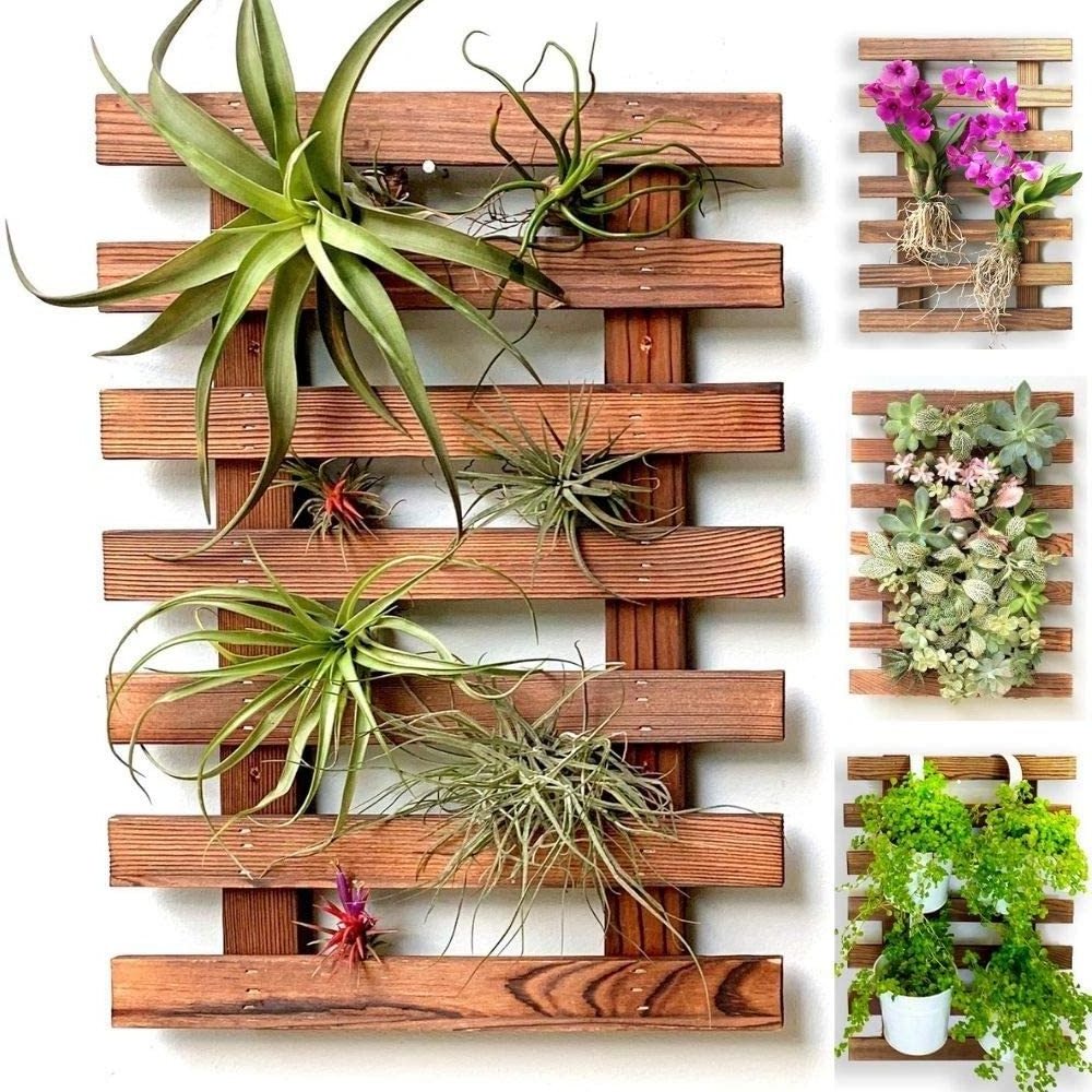 Wall Planter  Wooden Hanging Planter for Indoor Plants, Air Plant Succulent Holder Hanger, Vertical Garden