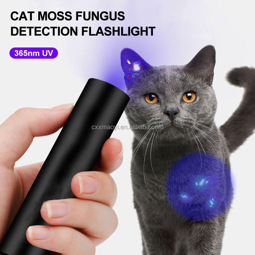 USB Rechargeable 365nm ultraviolet flashlight Cat moss fungus detection lamp black mirror fluorescent UV light