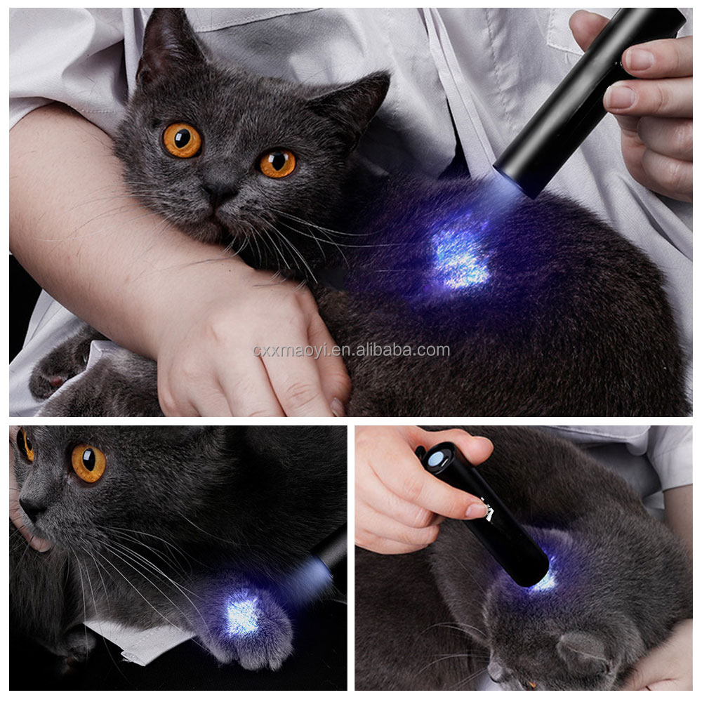 USB Rechargeable 365nm ultraviolet flashlight Cat moss fungus detection lamp black mirror fluorescent UV light