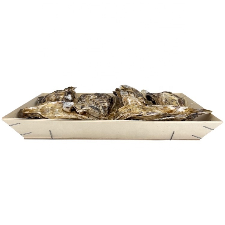 Oyster packaging wooden box Oyster Gift Box Seafood Wooden Packaging Gift Box Sashimi packaging  Fresh Oysters