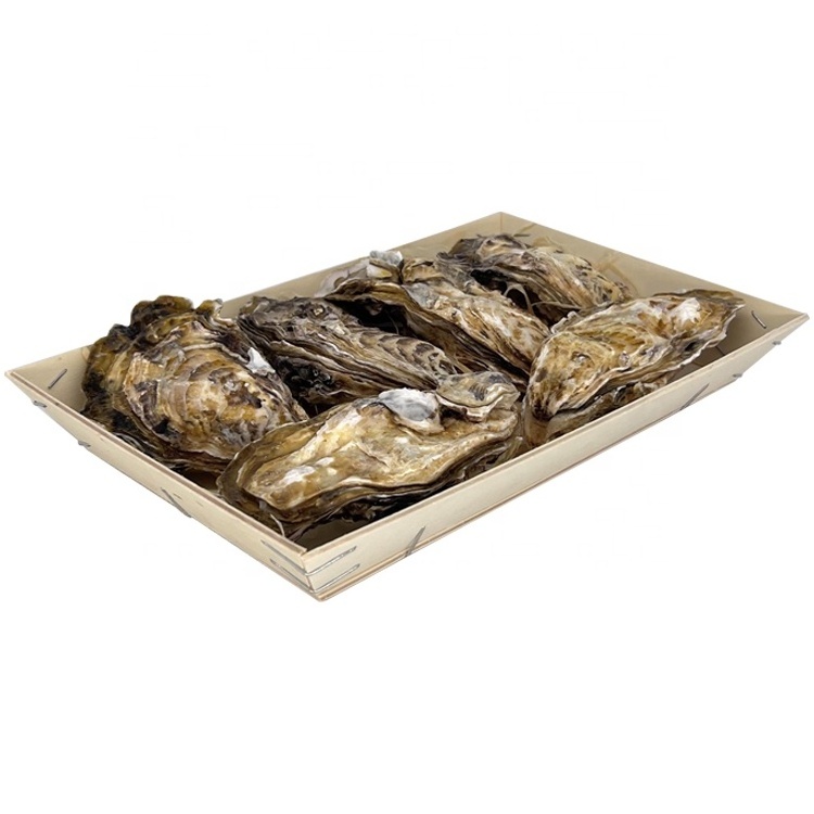 Oyster packaging wooden box Oyster Gift Box Seafood Wooden Packaging Gift Box Sashimi packaging  Fresh Oysters