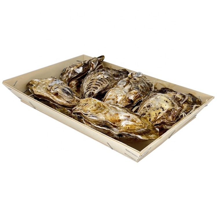 Oyster packaging wooden box Oyster Gift Box Seafood Wooden Packaging Gift Box Sashimi packaging  Fresh Oysters