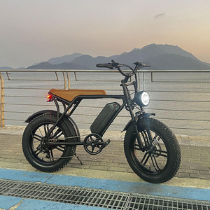 Hunting Electric Racing Bike v8 velo electrique homme between Electric Motor Bike from Europe Wearhouse