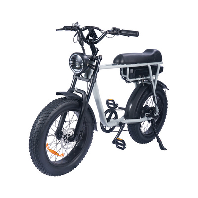 US EU Warehouse electric bicycle electric city bike 250w 1000w e bike electric fatbike fat tire electric bike ebike