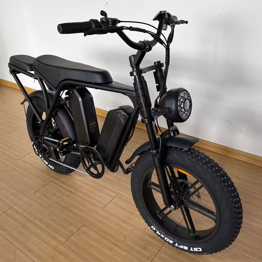 EU Warehouse 750w Long Range Step Through Ladies Torque Sensor Fat Tire Ebike Electric Hybrid Dirt Bike with Dual Battery