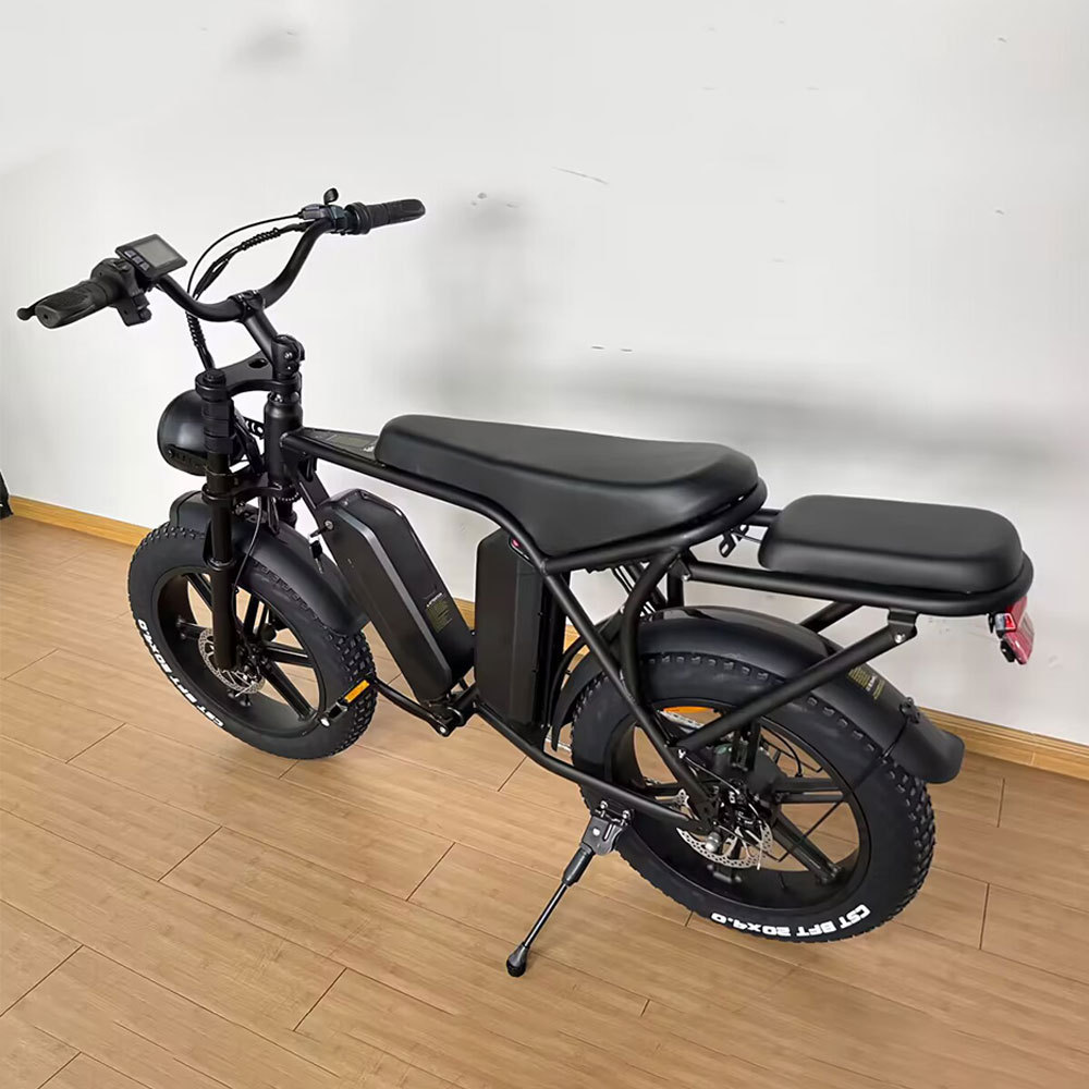 EU Warehouse 750w Long Range Step Through Ladies Torque Sensor Fat Tire Ebike Electric Hybrid Dirt Bike with Dual Battery