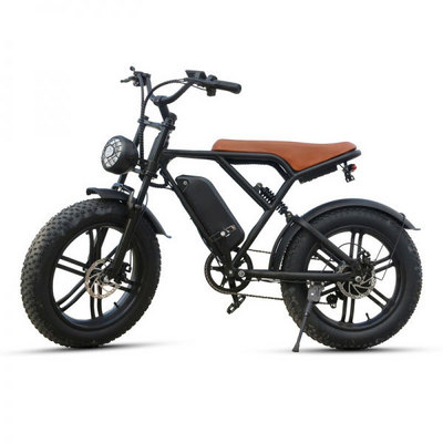 Customized Logo 1000W Motor Fatbike 20 Inch Fat Tire Adult MTB E Bike Long Range 15Ah Dual Suspension Electric Bicycle