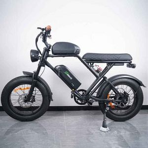 30ah Dual Battery Ready To Ship EU Warehouse Hydraulic brakes Double Battery E Bike long seat Fat Tire E Bike Fatbike 250w 1000w