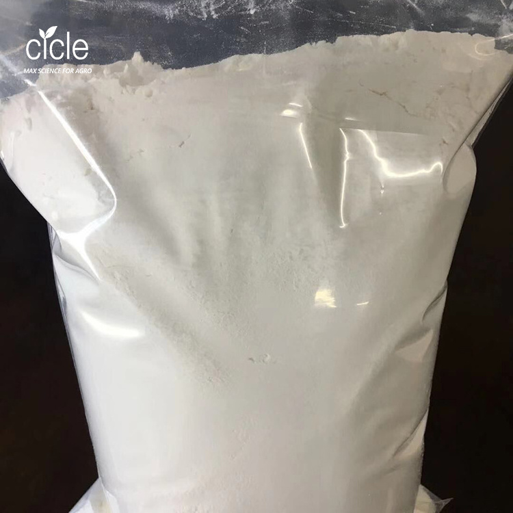 Manufacturer chitosan powder fertilizer 90%TC cas 9012-76-4 stimulates nutrient uptake