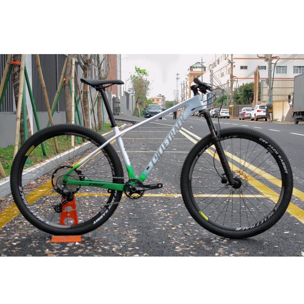 Cycletrack CK-COZY Carbon Fibre MTB Bicycle 12 Speed Carbon MTB 29 Inch Mountain Bike with CST Tire