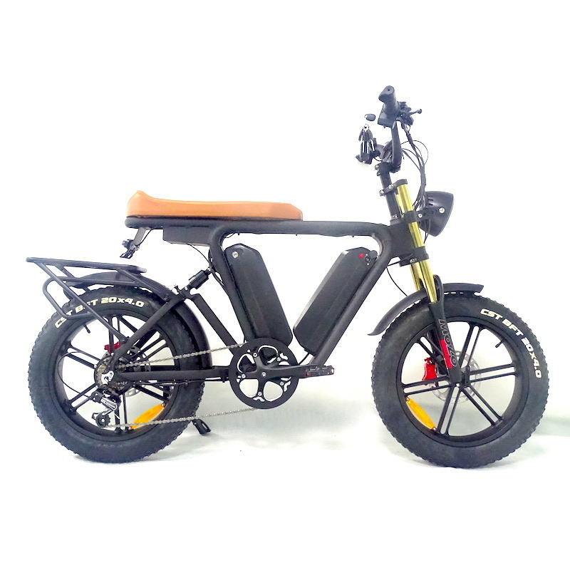 22Ah*2 Dual Battery Ebike 48V 1000W Motor 20 Inch Fat Tire Electric Full Suspension Mountain E Bike