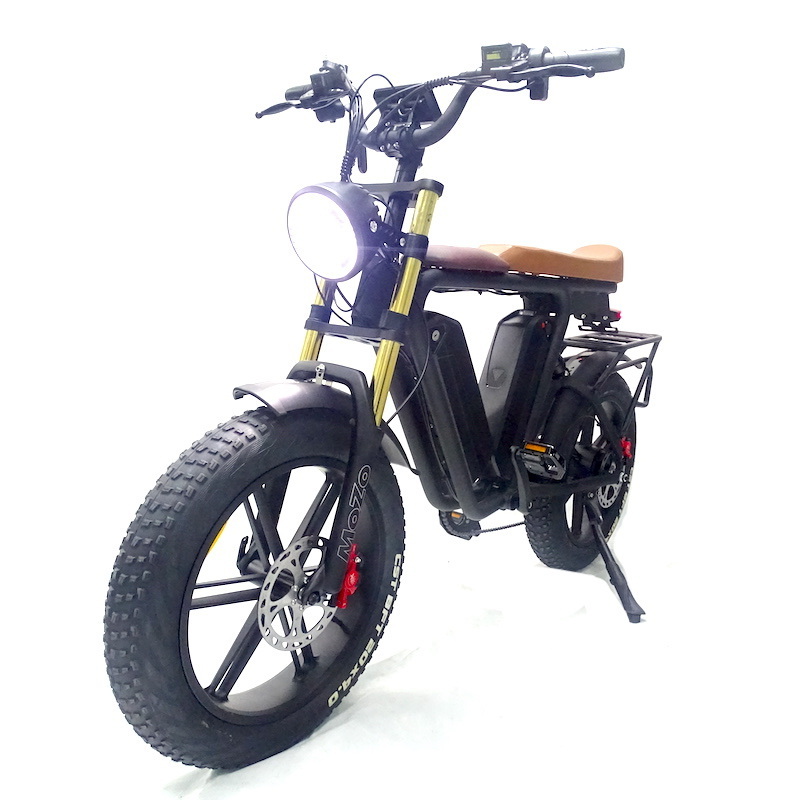 22Ah*2 Dual Battery Ebike 48V 1000W Motor 20 Inch Fat Tire Electric Full Suspension Mountain E Bike