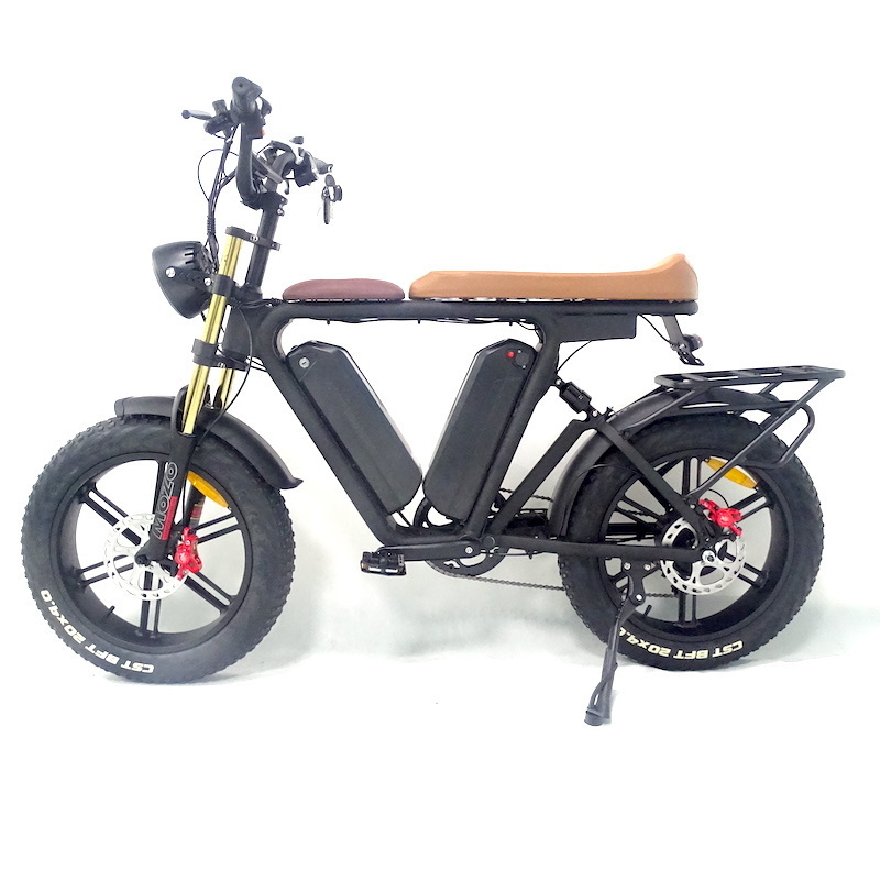 22Ah*2 Dual Battery Ebike 48V 1000W Motor 20 Inch Fat Tire Electric Full Suspension Mountain E Bike