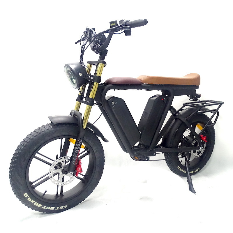 22Ah*2 Dual Battery Ebike 48V 1000W Motor 20 Inch Fat Tire Electric Full Suspension Mountain E Bike