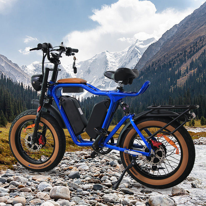 Sale Fast Selling Cheap Full Suspension E-Bike fatbike electrische electric fat tire e bike Netherlands e-bike ebike