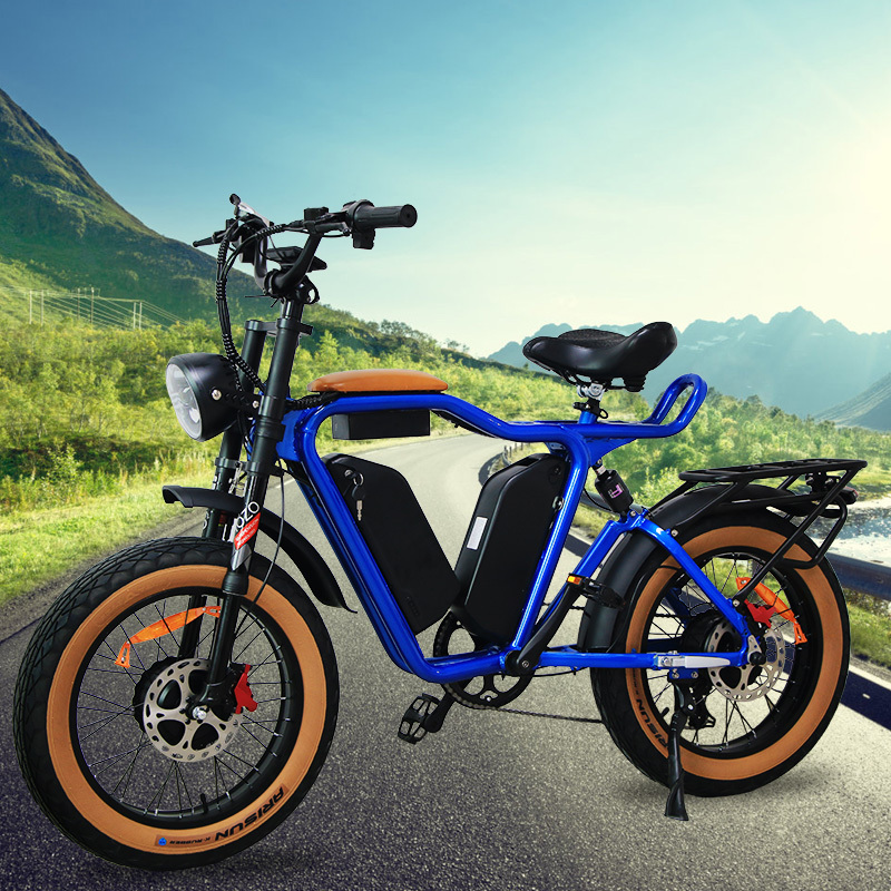 Sale Fast Selling Cheap Full Suspension E-Bike fatbike electrische electric fat tire e bike Netherlands e-bike ebike