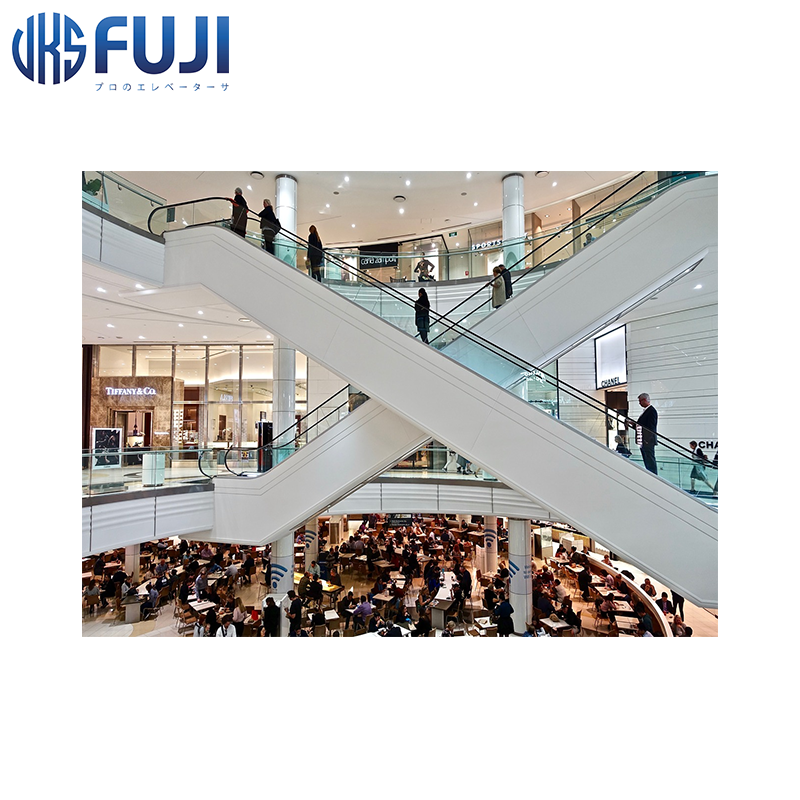 FUJI Brand Low Noise High Speed  Escalator Cheap Price Escalator With Good Quality For Indoor And Outdoor Use