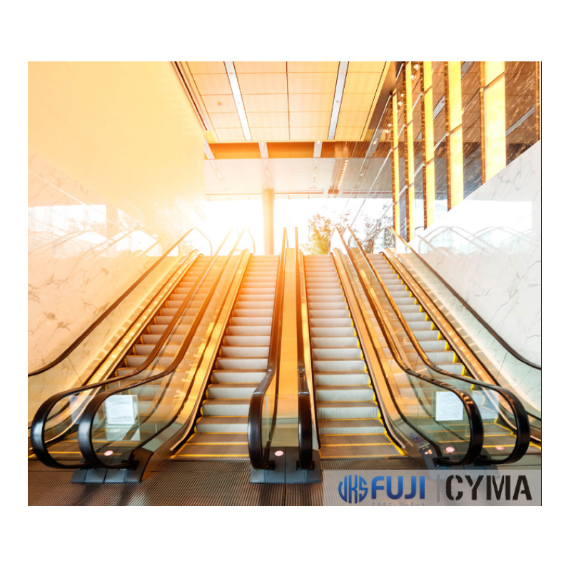 Hot Sale Home  Passenger Small Escalator  Outdoor Escalator Price  For Good Quality With CE EAC Certificate