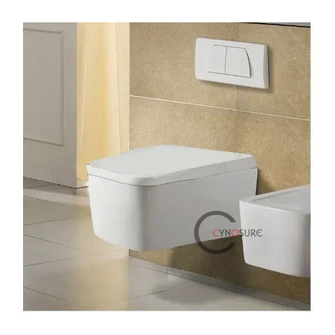 CY3221-Rimless Chaozhou toilet Wall Hung toilet price