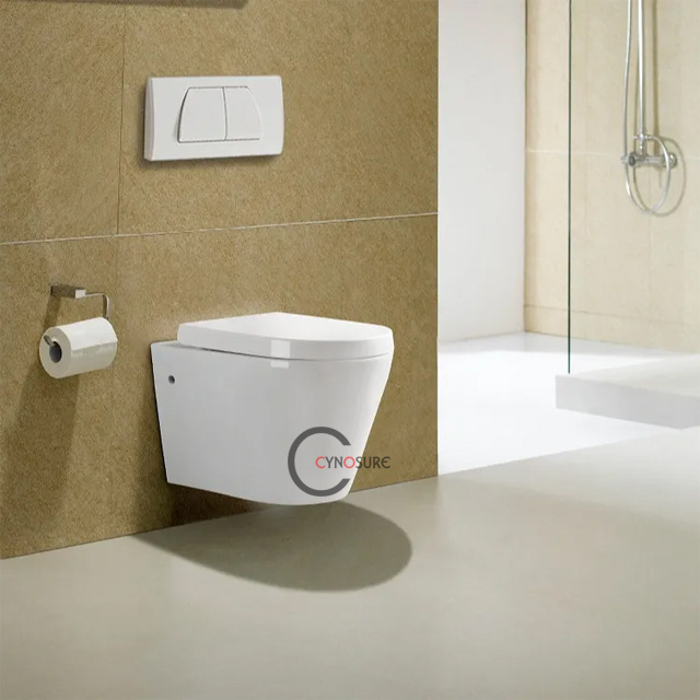 Bathroom Gravity Flushing Wall Hung Toilet Sanitary Round One Piece Wc Wall Mounted hanging Toilets 2024 new products