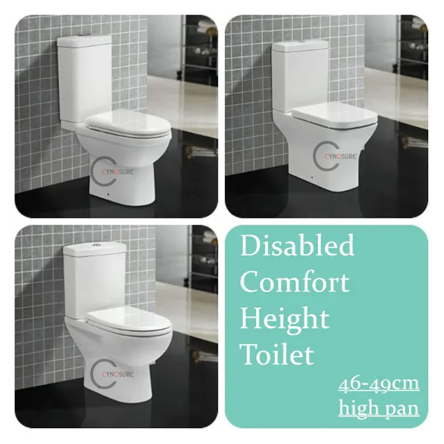 Hospital and Public and Project DISABLED TOILETS, COMFORT HEIGHT TOILET  for disabled people